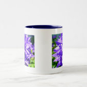 Gegroepeerde bloem (Campanula glomerata Superba) Tweekleurige Koffiemok (Center)