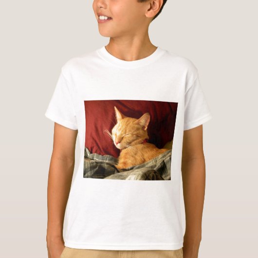 Gehakt in t-shirt (Voorkant)