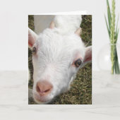 Gehakt Kaart (Voorkant)