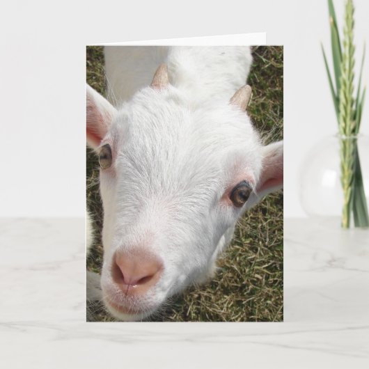 Gehakt Kaart (Voorkant)