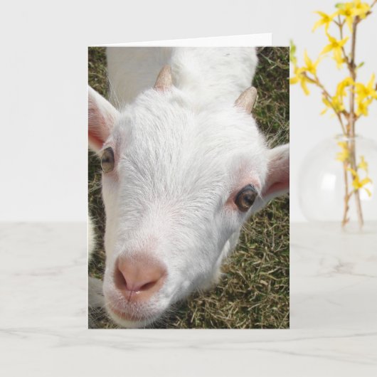 Gehakt Kaart (Gele Bloem)