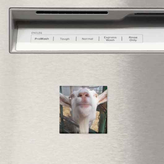 Gehakt Magneet (Insitu (Vaatwasser))