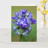 Gehakt Paars, kaart (Gele Bloem)