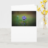Gehakt Paars, kaart (Gele Bloem)
