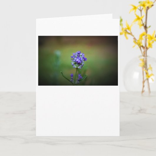 Gehakt Paars, kaart (Gele Bloem)