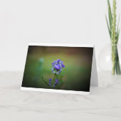 Gehakt Paars, kaart (Voorkant)