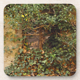 Gehakt venster  bier onderzetter