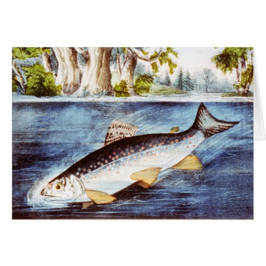 Gehakte Forel - Vintage Fijne Kunst (Voorkant Horizontaal)