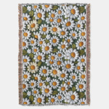 Gehakte Witte Madeliefjes Lente Wilde Bloemen