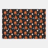 GEHAOND HUIS, DANKSKELETON EN SPIEREN INPAKPAPIER VEL (Voorkant 3)