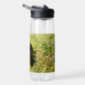 Geharnaste Wandelaar: De Geheime Wandeling van de  Waterfles (Rechts)