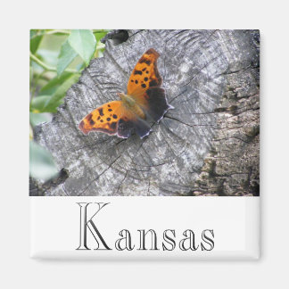 Gehavende schoonheid magneet