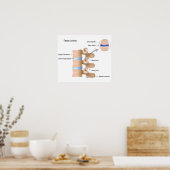 Geheel Poster (Keuken)