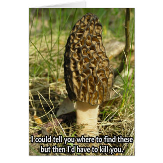 Geheim van de Morel Hunter