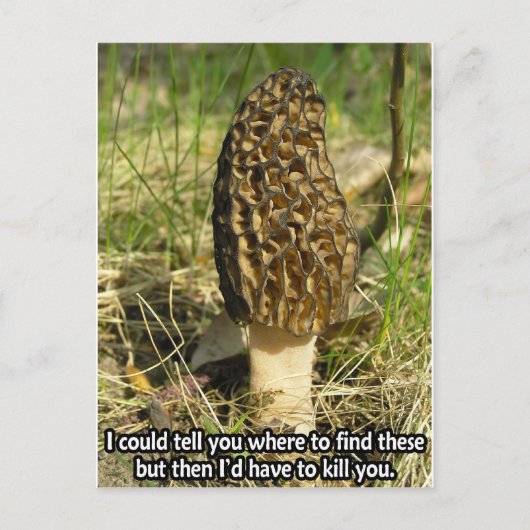 Geheim van de Morel Hunter Briefkaart (Voorkant)