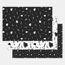 Geheime agent partij