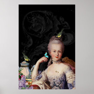 Geheime bewaarder van Marie Antoinette Poster