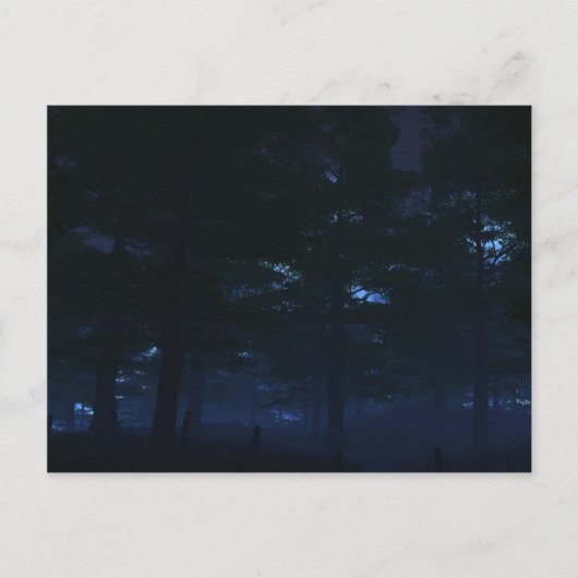 Geheime Briefkaarten van de natuur (Voorkant)