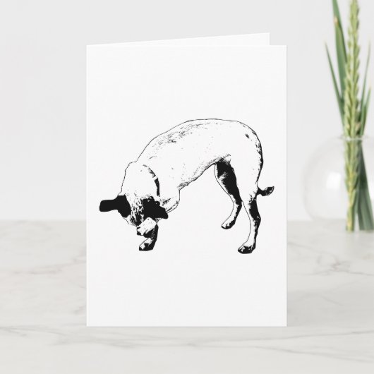 Geheime Glimlach Terrier Kaart (Voorkant)