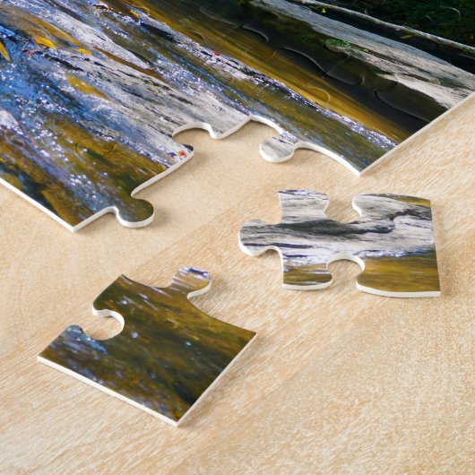 Geheime Herfsten North Carolina Legpuzzel (Zijkant)