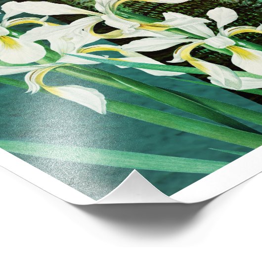 Geheime letter  digitale collage foto afdruk (Hoek)