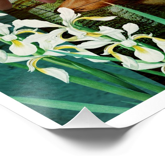 Geheime letter  digitale collage perfect poster (Hoek)