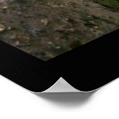 Geheime plaats poster (Hoek)