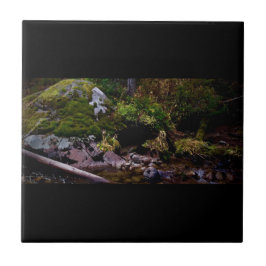 Geheime plaats tegeltje