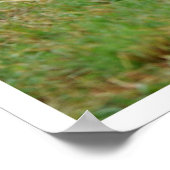 Geheime plaatsen White Horse in Field Poster (Hoek)