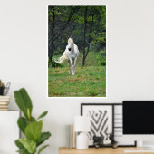 Geheime plaatsen White Horse in Field Poster (Thuiskantoor)