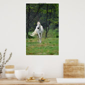 Geheime plaatsen White Horse in Field Poster (Keuken)