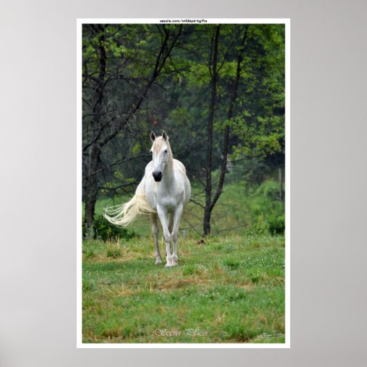 Geheime plaatsen White Horse in Field Poster (Voorkant)