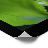 Geheime Poster voor Violet Floral Fotografie (Hoek)