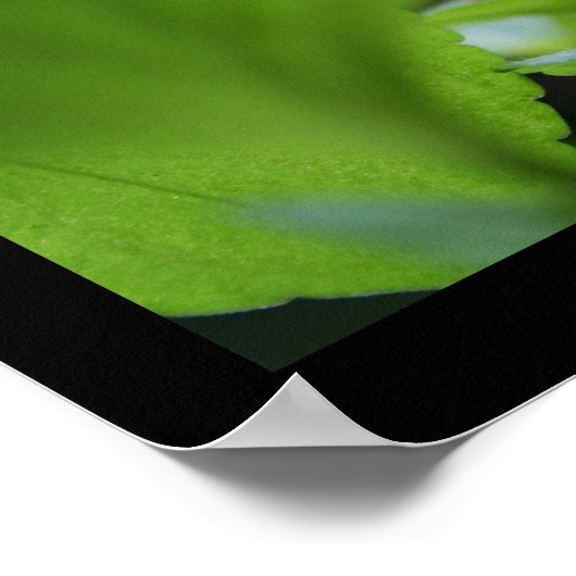 Geheime Poster voor Violet Floral Fotografie (Hoek)