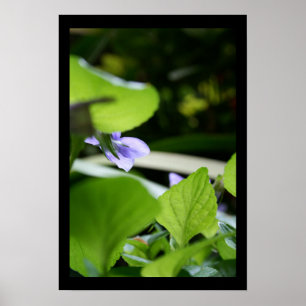 Geheime Poster voor Violet Floral Fotografie