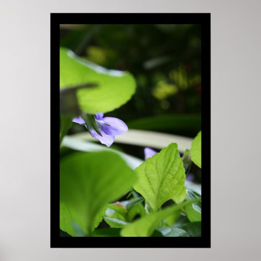 Geheime Poster voor Violet Floral Fotografie (Voorkant)