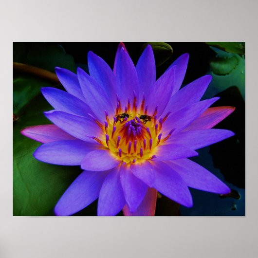 Geheime rendezvous poster (Voorkant)