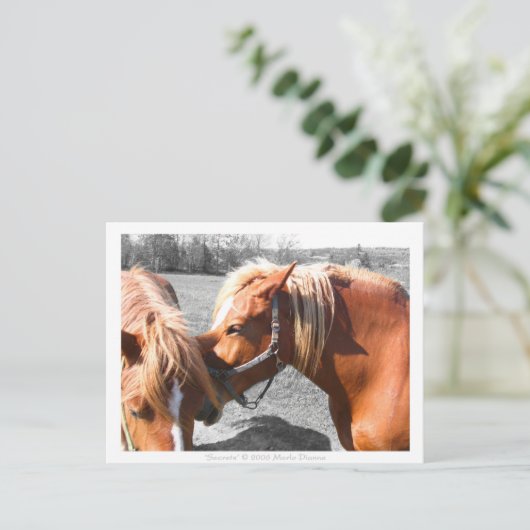 Geheimen Briefkaart (Staand voorkant)