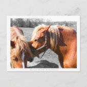 Geheimen Briefkaart (Voorkant)