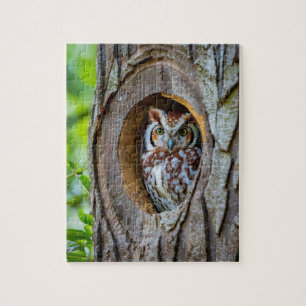Geheimen van de Owl's Tree Trunk Residence Legpuzzel