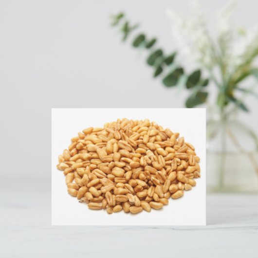 Gehele tarwekorrels briefkaart (Staand voorkant)