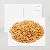 Gehele tarwekorrels briefkaart (Voorkant / Achterkant)