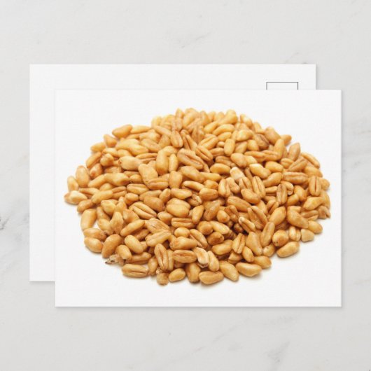 Gehele tarwekorrels briefkaart (Voorkant / Achterkant)