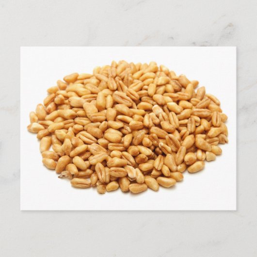 Gehele tarwekorrels briefkaart (Voorkant)