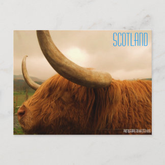 geheugen 2 216, SCHOTLAND, Fotografie door Kirsten Briefkaart