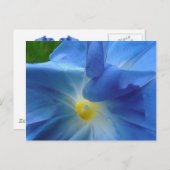 GEHEUGEN TEMPERATUUR BRIEFKAART (Voorkant / Achterkant)