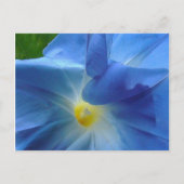 GEHEUGEN TEMPERATUUR BRIEFKAART (Voorkant)