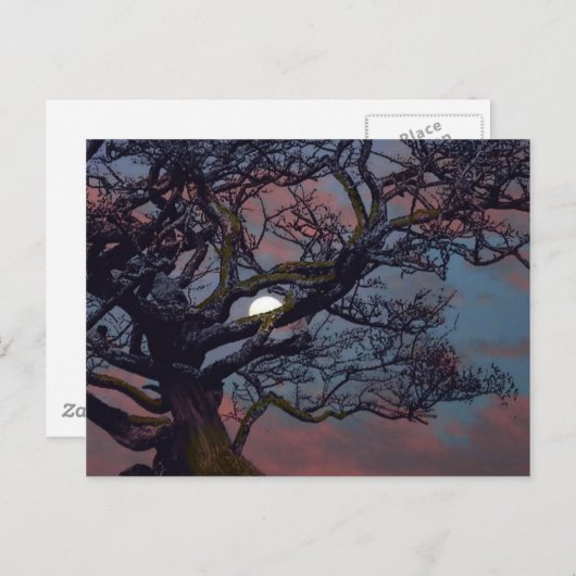 Geheugen van de maan briefkaart (Voorkant / Achterkant)