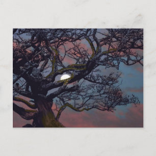 Geheugen van de maan briefkaart