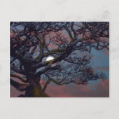 Geheugen van de maan briefkaart (Voorkant)